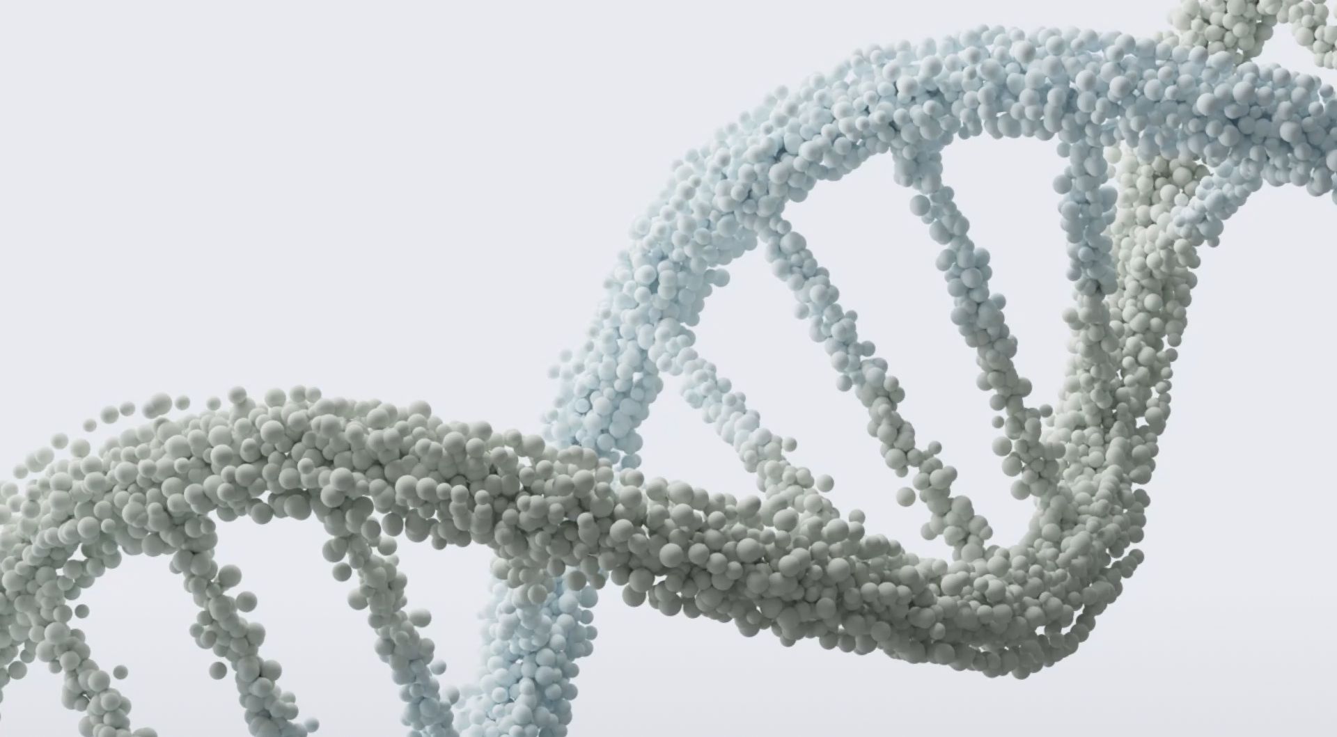 Wie profitiert dein Unternehmen von Mensch + Marke?